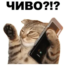 Переговоры sticker 3