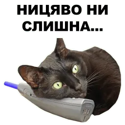 Переговоры sticker 5