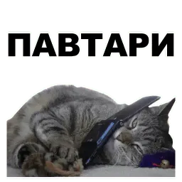 Переговоры sticker 7