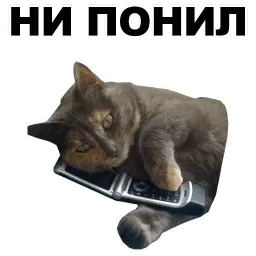 Переговоры sticker 8
