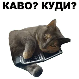Переговоры sticker 9