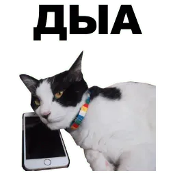 Переговоры sticker 10