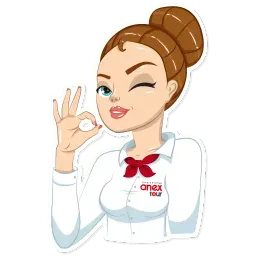 Anex.agency sticker 7