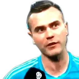 Акинфеев sticker 3