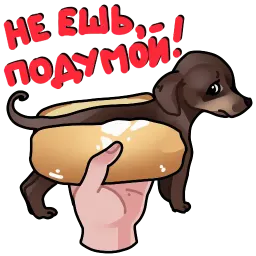 Собачки 🐾 (@stickerssave) sticker 2