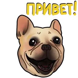 Собачки 🐾 (@stickerssave) sticker 11