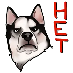 Собачки 🐾 (@stickerssave) sticker 12