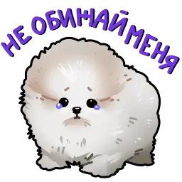 Собачки 🐾 (@stickerssave) sticker 6