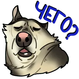 Собачки 🐾 (@stickerssave) sticker 7