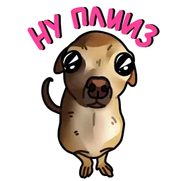 Собачки 🐾 (@stickerssave) sticker 10