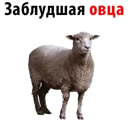 Отче Наш и Аминь @stickerus sticker 7