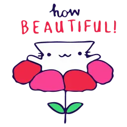 Анимированный кот sticker 12