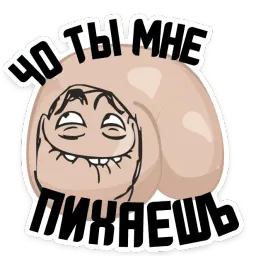 Полная ЖОПА @TuristasTV sticker 12