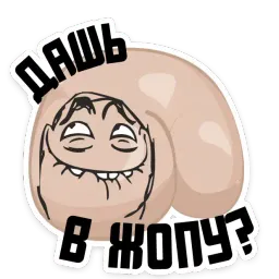Полная ЖОПА @TuristasTV sticker 9