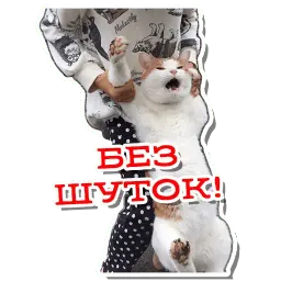Атпути (@m1ke23) sticker 4