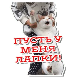Атпути (@m1ke23) sticker 5