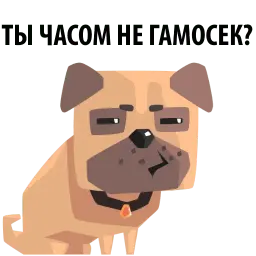 Злобный мопс sticker 8