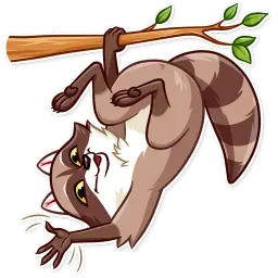 Енот - бандит sticker 5