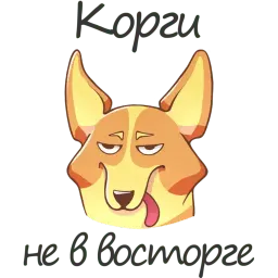 Беляш корги - иллюстратор sticker 2