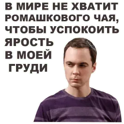 Теория большого взрыва sticker 5