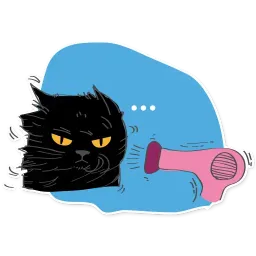 Черный кот sticker 6