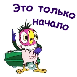 Попугай Кеша 4 sticker 11