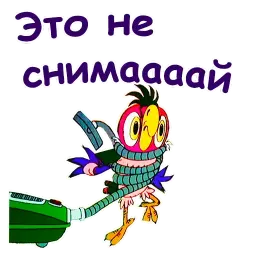 Попугай Кеша 4 sticker 10