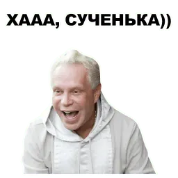 Моисеев sticker 2