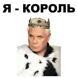 Моисеев sticker 5