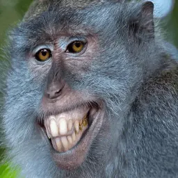 Сломанные животные sticker 2