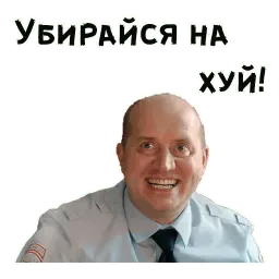 Полицейский с Рублёвки sticker 6