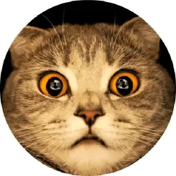 Котики и Кошечки 2 @TuristasTV Telegram sticker pack