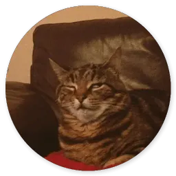 Котики и Кошечки 2 @TuristasTV sticker 11