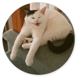 Котики и Кошечки 2 @TuristasTV sticker 12