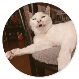 Котики и Кошечки 2 @TuristasTV sticker 4