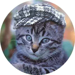 Котики и Кошечки @TuristasTV sticker 4