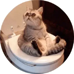 Котики и Кошечки @TuristasTV sticker 7
