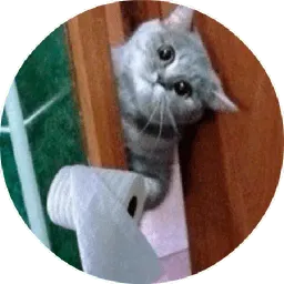 Котики и Кошечки @TuristasTV sticker 9