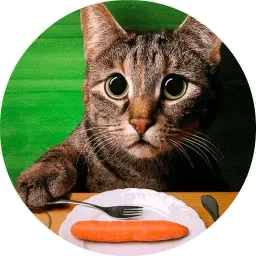 Котики и Кошечки @TuristasTV sticker 10