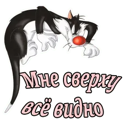 Кот Сильвестр :: @animesticks sticker 9