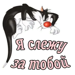 Кот Сильвестр :: @animesticks sticker 10