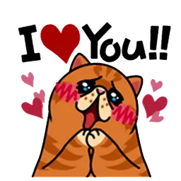 fun cat Telegram sticker pack