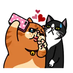 fun cat sticker 2