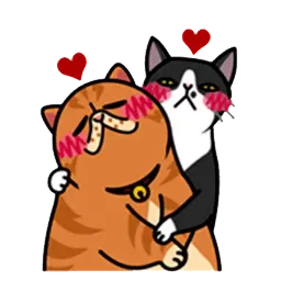fun cat sticker 3