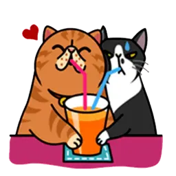 fun cat sticker 6