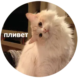Кусь Telegram sticker pack