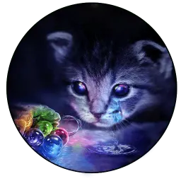 Коты и Совы Telegram sticker pack