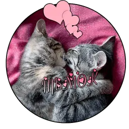 Коты и Совы sticker 12