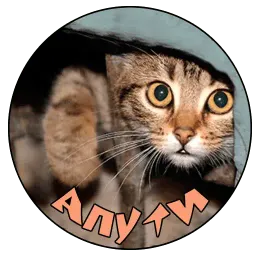 Коты и Совы sticker 4