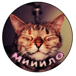 Коты и Совы sticker 5
